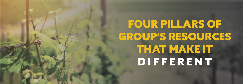FOUR PILLARS OF GROUP’S RESOURCES THAT MAKE IT DIFFERENT